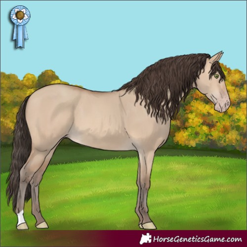 Horse Color:Amber Champagne Dun 