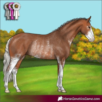 Horse Color:Silver Bay Sabino Rabicano 
