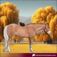 Horse Color:Gold Champagne 
