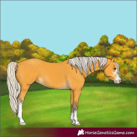 Horse Color:Silver Buckskin Sabino 
