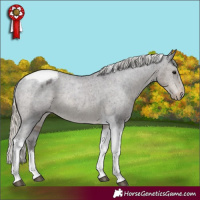 Horse Color:Silver Smoky Black Tobiano Appaloosa Rabicano 