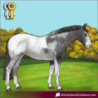 Horse Color:Black Sabino Tobiano Snowcap Rabicano