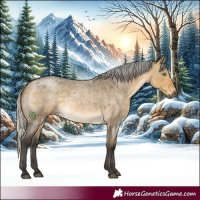Horse Color:Silver Buckskin Roan Dun Brindle