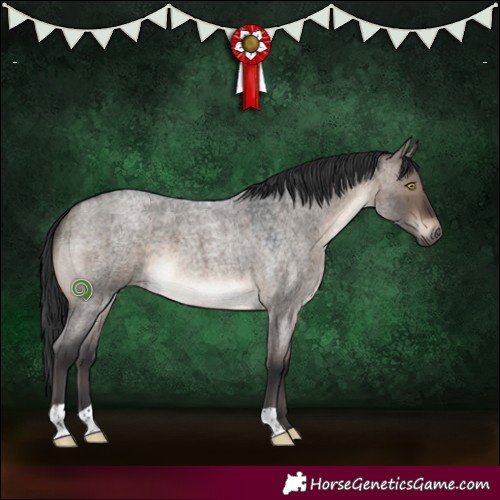 Horse Color:Brown Roan Dun 