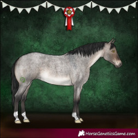 Horse Color:Brown Roan Dun 