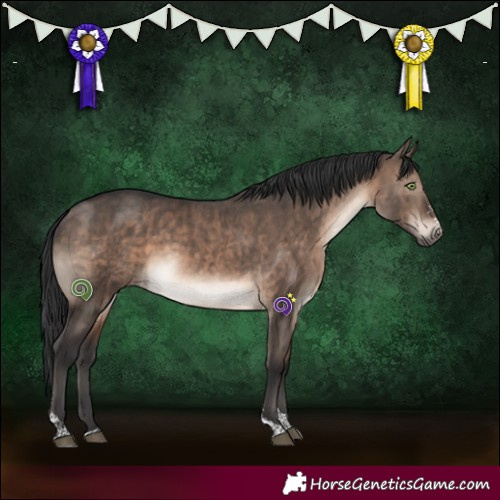 Horse Color:Brown Dun Mushroom Sabino Tobiano Brindle