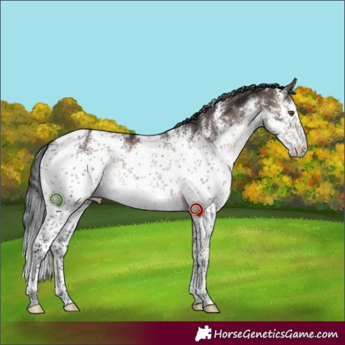 Horse Color:White Spotted Brown Dun Mushroom Sabino Brindle 