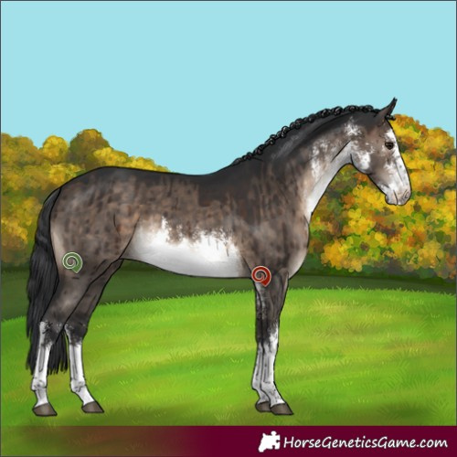 Horse Color:White Spotted Brown Dun Brindle 