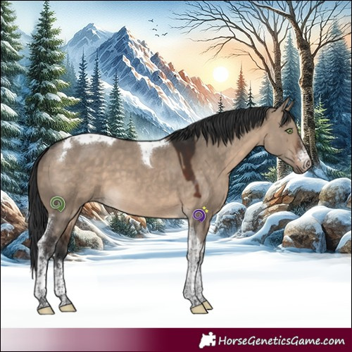 Horse Color:White Spotted Brown Dun Tobiano 