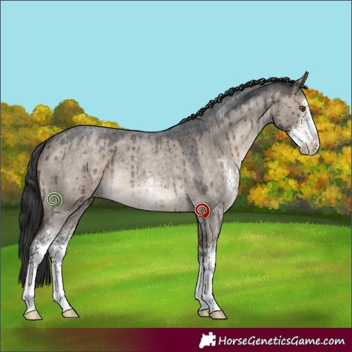 Horse Color:Brown Roan Dun Sabino Brindle 