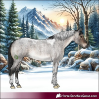 Horse Color:Brown Roan Dun Tobiano Rabicano Brindle 