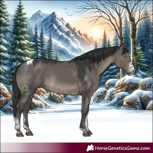 Horse Color:Grullo Mushroom Sabino Tobiano