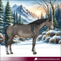 Horse Color:Grullo Mushroom Sabino Tobiano 