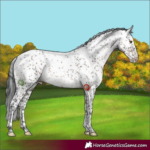 Horse Color:Brown Dun Sabino Brindle