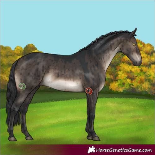 Horse Color:Brown Dun Sabino Brindle 