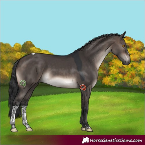 Horse Color:Brown Dun Mushroom Tobiano