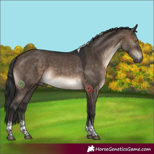 Horse Color:Brown Dun Sabino Tobiano 