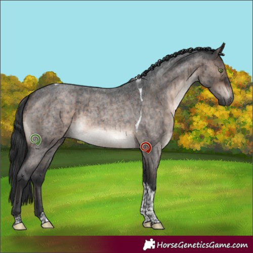 Horse Color:Brown Roan Dun Mushroom Tobiano Brindle