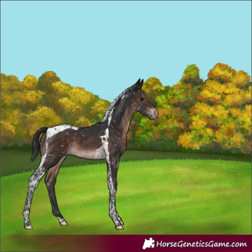 Horse Color:Brown Mushroom Tobiano Snowflake Varnish 