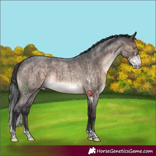Horse Color:Brown Roan Dun Mushroom Sabino Brindle 