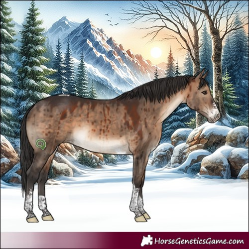 Horse Color:Brown Dun Sabino Tobiano Brindle