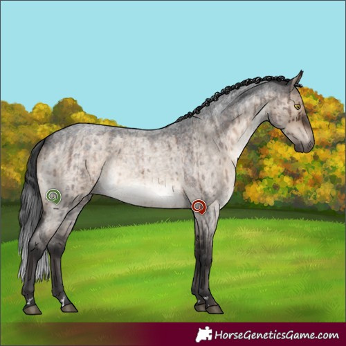 Horse Color:Brown Roan Dun Brindle 