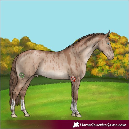 Horse Color:Grullo Pearl Tobiano Brindle