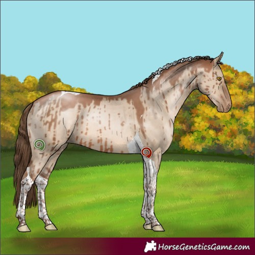 Horse Color:Brown Pearl Dun Tobiano Brindle 