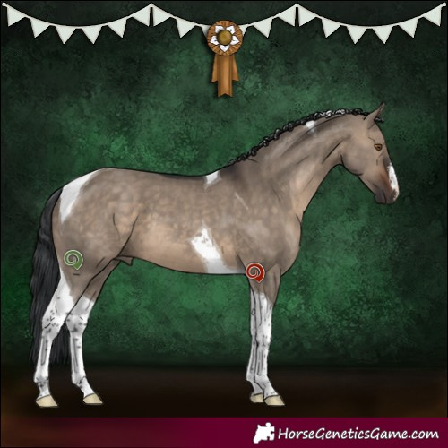 Horse Color:White Spotted Brown Dun Tobiano 
