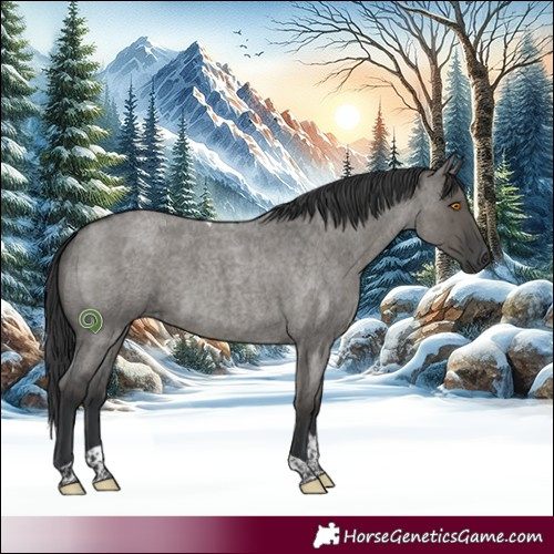 Horse Color:Grullo Roan Tobiano Brindle
