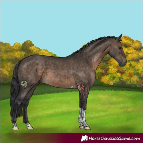Horse Color:Brown Dun Tobiano Brindle 