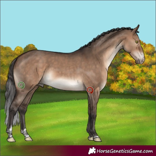 Horse Color:Brown Dun Sabino Tobiano