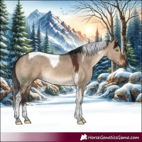 Horse Color:Brown Dun Tobiano 