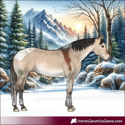 Horse Color:Bay Dun Tobiano 