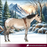 Horse Color:Bay Dun Tobiano 