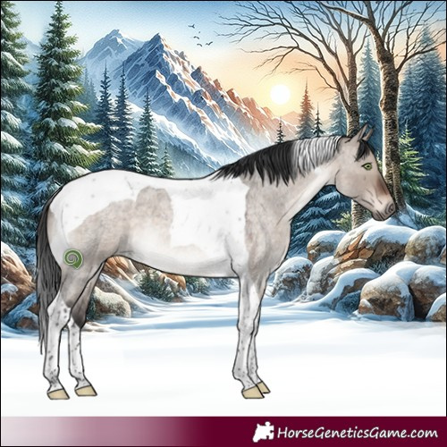 Horse Color:Brown Roan Dun Mushroom Tobiano 