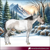 Horse Color:Brown Roan Dun Mushroom Tobiano 