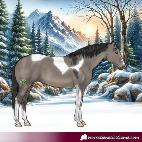 Horse Color:Grullo Tobiano 