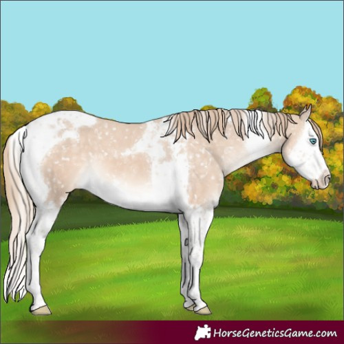 Horse Color:Perlino Mushroom Splash Tobiano Snowflake Varnish