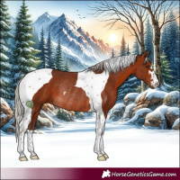 Horse Color:Silver Bay Tobiano Rabicano