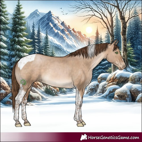 Horse Color:White Spotted Brown Pearl Dun Tobiano Rabicano