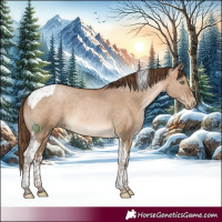 Horse Color:White Spotted Brown Pearl Dun Tobiano Rabicano