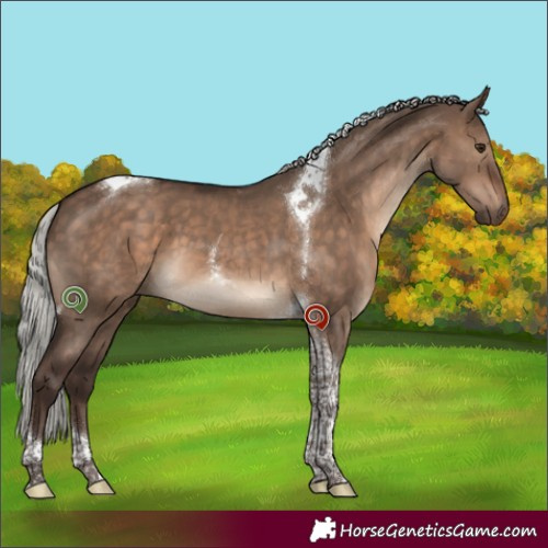 Horse Color:Silver Brown Dun Tobiano 