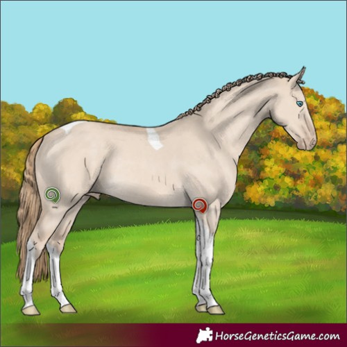 Horse Color:Smoky Creme Dun Tobiano Rabicano