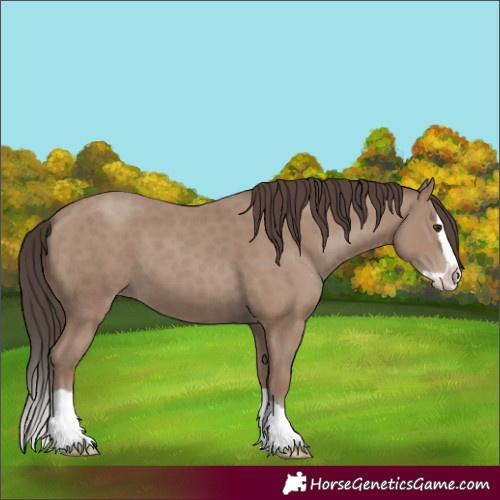 Horse Color:Classic Champagne Splash