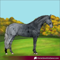 Horse Color:ERROR: UNKNOWN ANOMALY