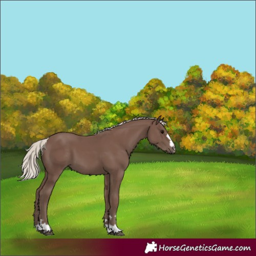 Horse Color:Silver Black 