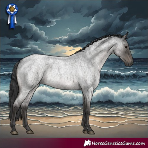 Horse Color:Blue Roan Rabicano 