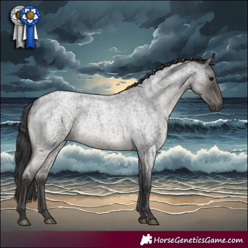 Horse Color:Blue Roan Rabicano 