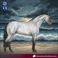 Horse Color:Blue Roan Rabicano